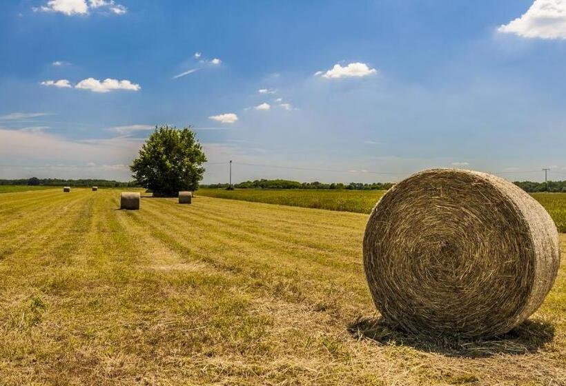 Termal   Terme 3000   Sava Hotels & Resorts