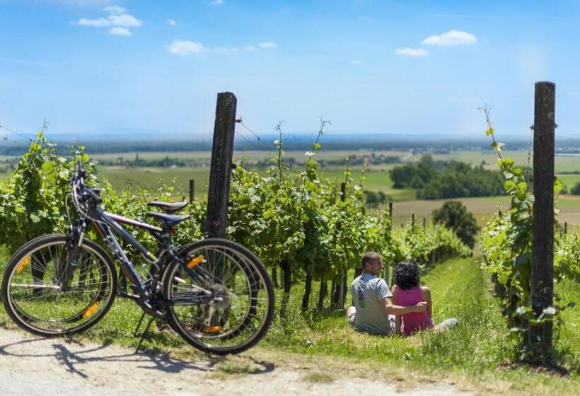 Termal   Terme 3000   Sava Hotels & Resorts