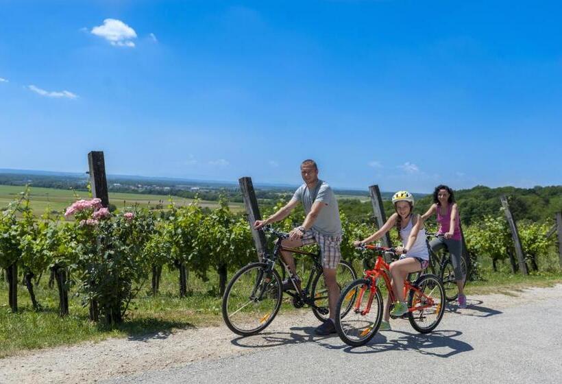 Termal   Terme 3000   Sava Hotels & Resorts