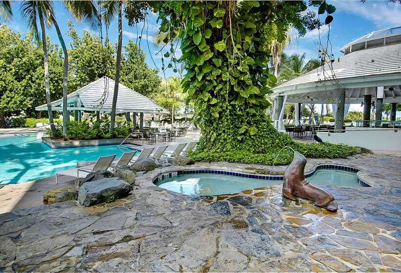 فندق The Condado Plaza