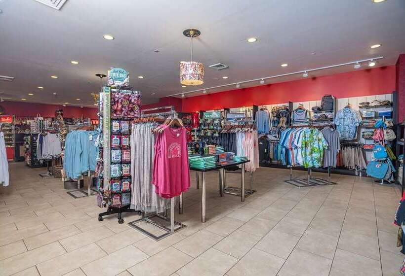 فندق The Condado Plaza