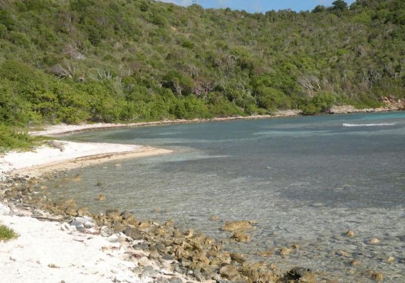 Maho Bay Camps Resort