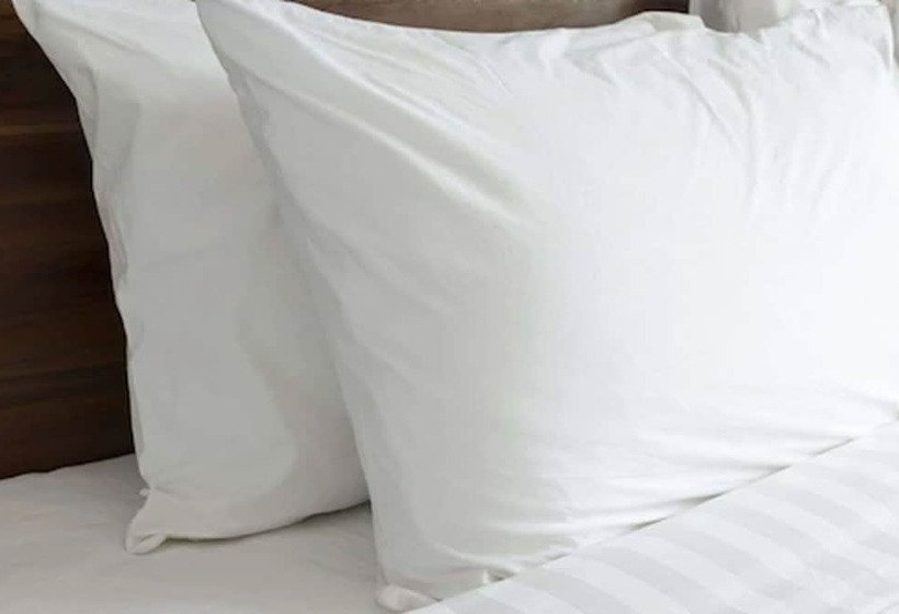 فندق على الطريق Knights Inn Hallandale