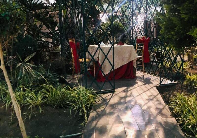 Radisson Hotel & Convention Center Toluca