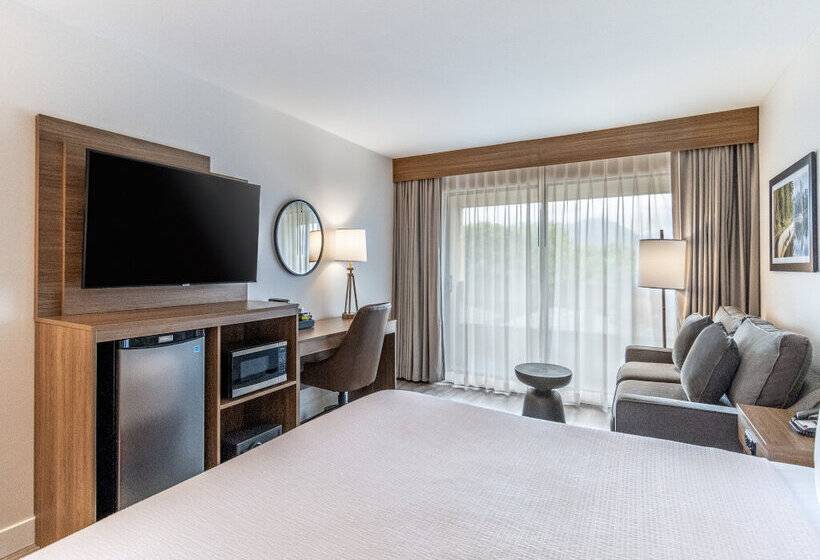 Atrium Hotel Vancouver