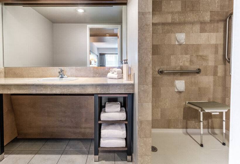 Atrium Hotel Vancouver