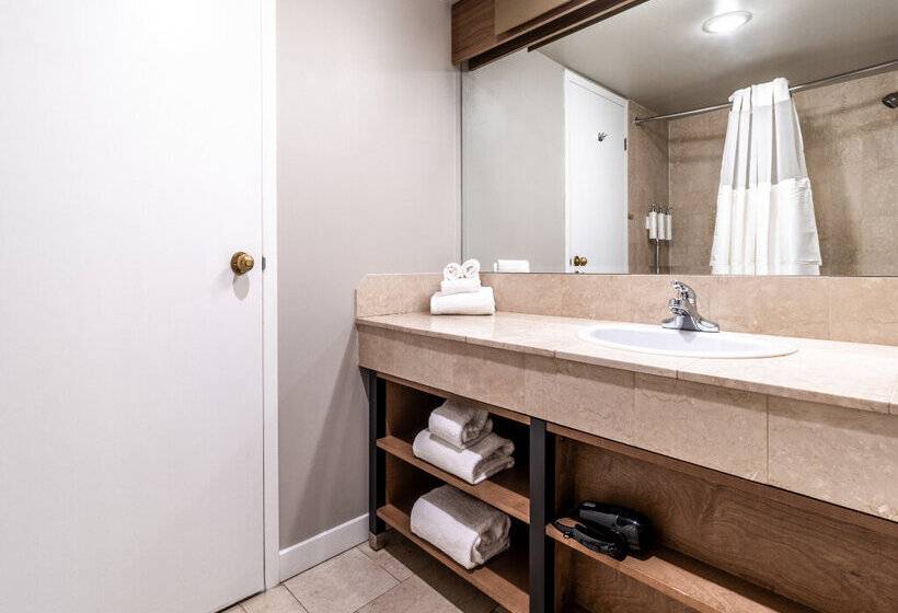 Atrium Hotel Vancouver