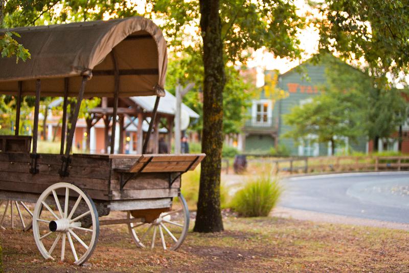 Disney Hotel Cheyenne