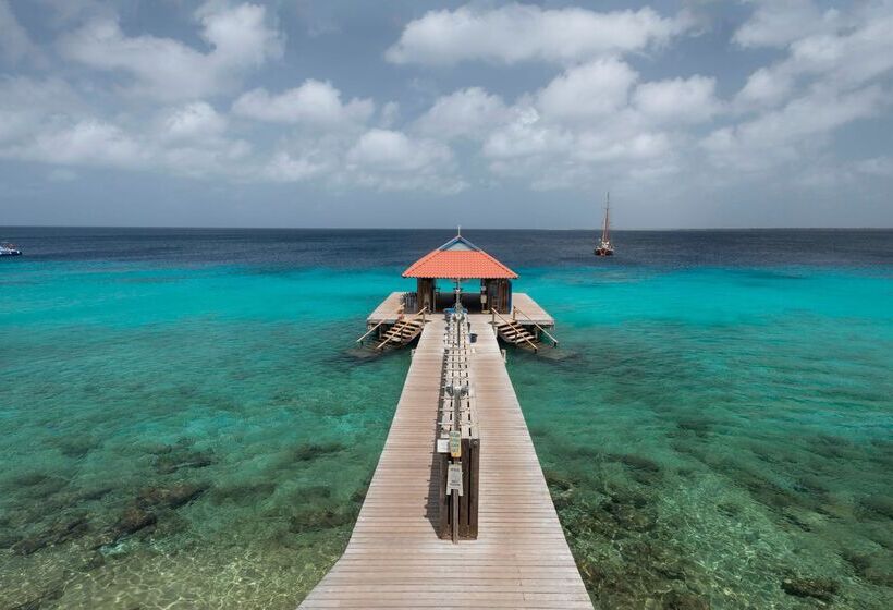 Divi Flamingo Beach Resort