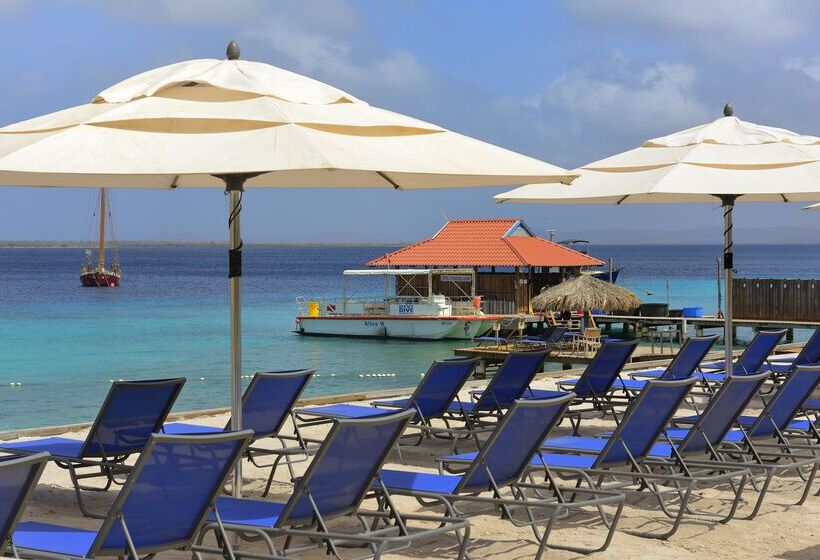 Divi Flamingo Beach Resort