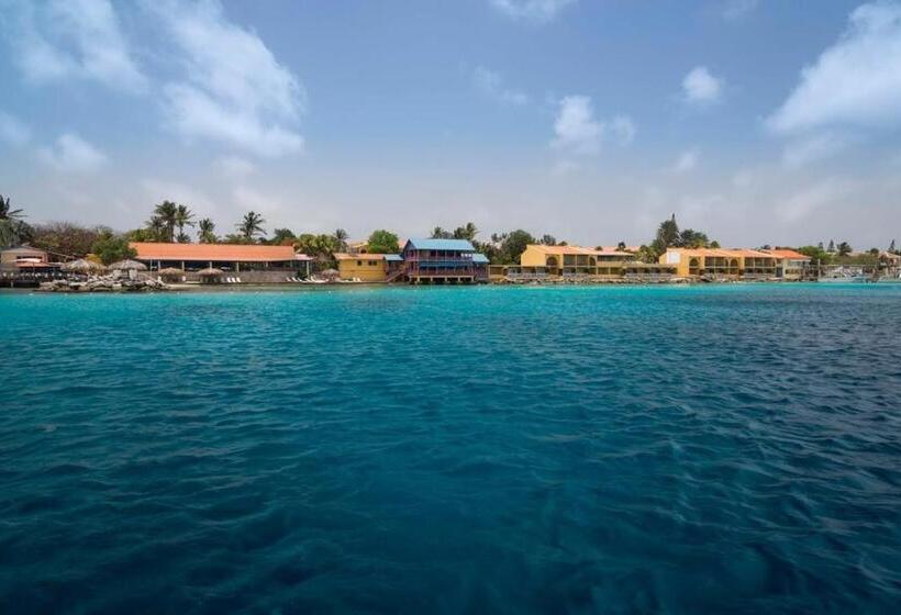 Divi Flamingo Beach Resort