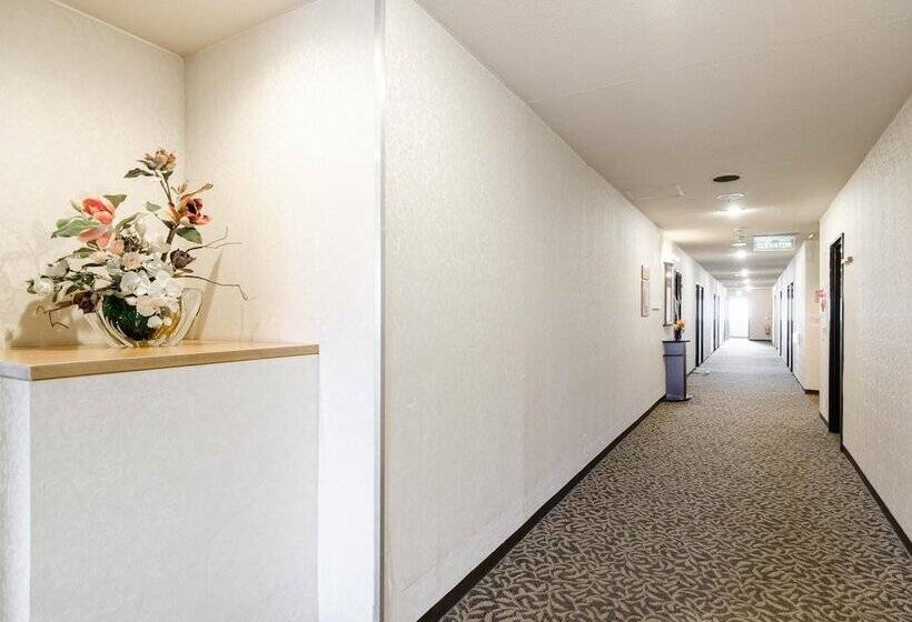 酒店 Tabist Abashiri Central