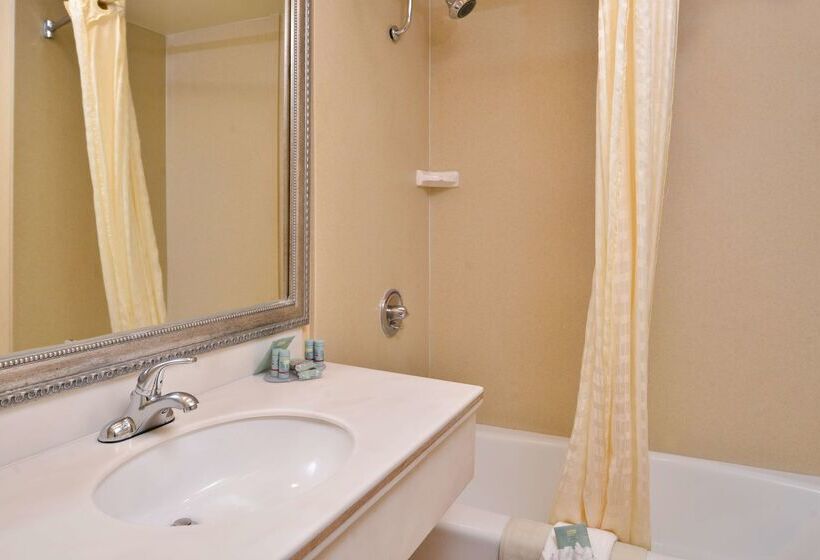 Best Western Hollywood Plaza Inn Hotel   Hollywood Walk Of Fame La