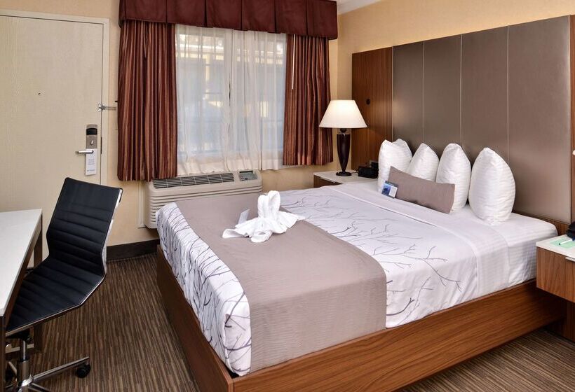 Best Western Hollywood Plaza Inn Hotel   Hollywood Walk Of Fame La