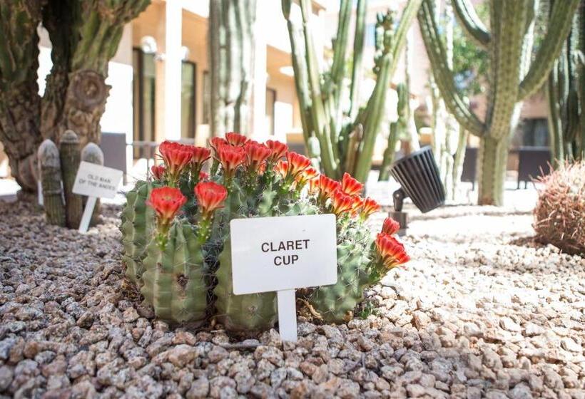 هتل Courtyard By Marriott Phoenix Mesa