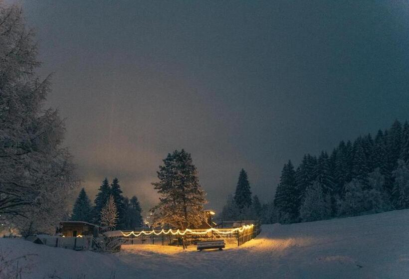 فندق Der Kirchheimerhof   Superior