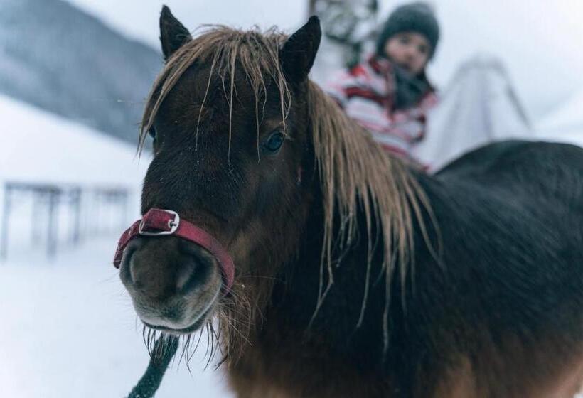 فندق Der Kirchheimerhof   Superior