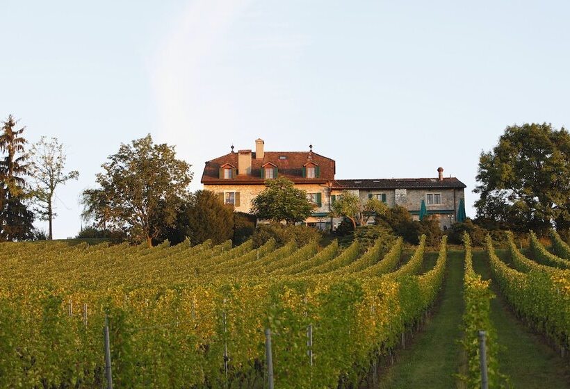 酒店 Domaine De Chateauvieux