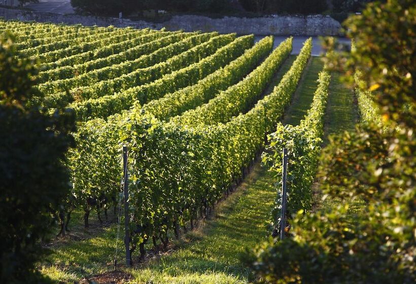 Отель Domaine De Chateauvieux