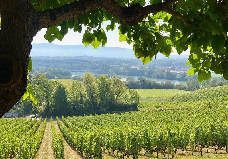 ホテル Domaine De Chateauvieux