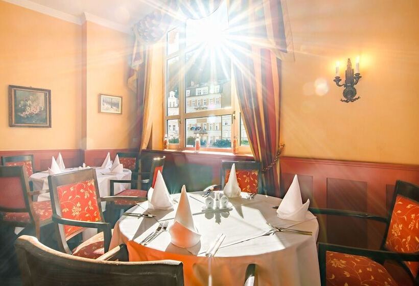 ホテル Dvorak Spa & Wellness