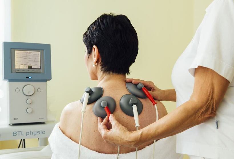 ホテル Dvorak Spa & Wellness