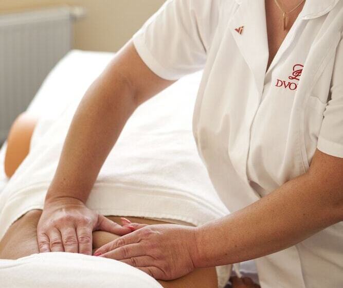 ホテル Dvorak Spa & Wellness