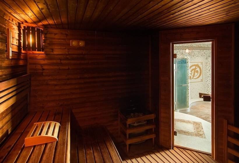 فندق Dvorak Spa & Wellness