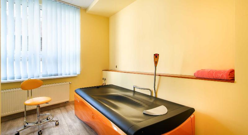 فندق Dvorak Spa & Wellness