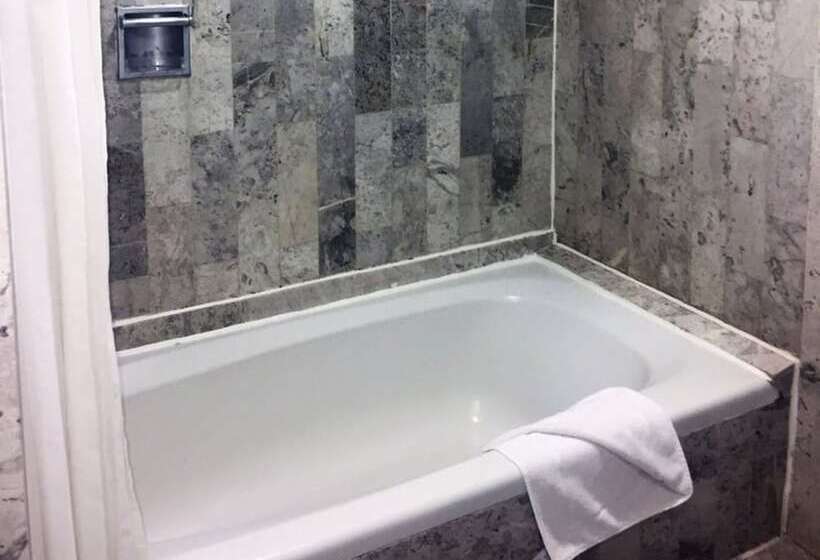 Отель El Conquistador Del Paseo De Montejo