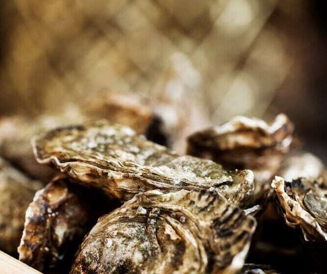 Elite Hotel Mollberg