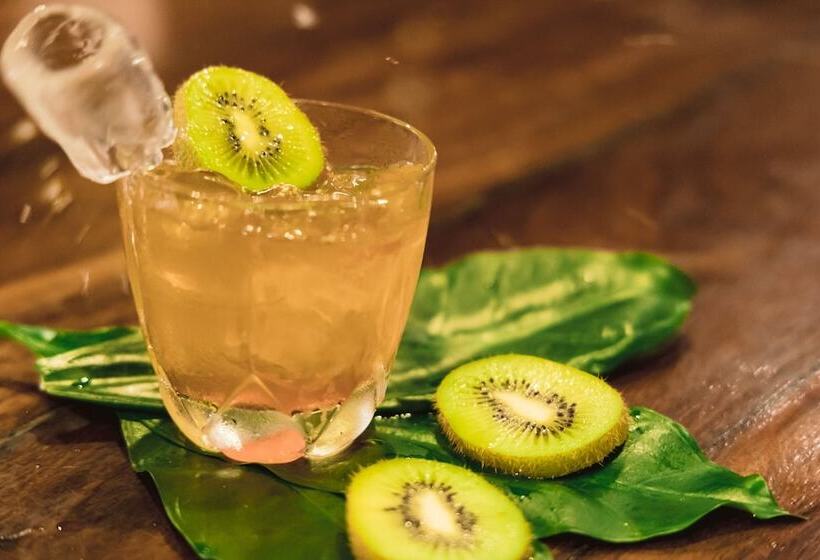 בית מלון כפרי Fontan Ixtapa