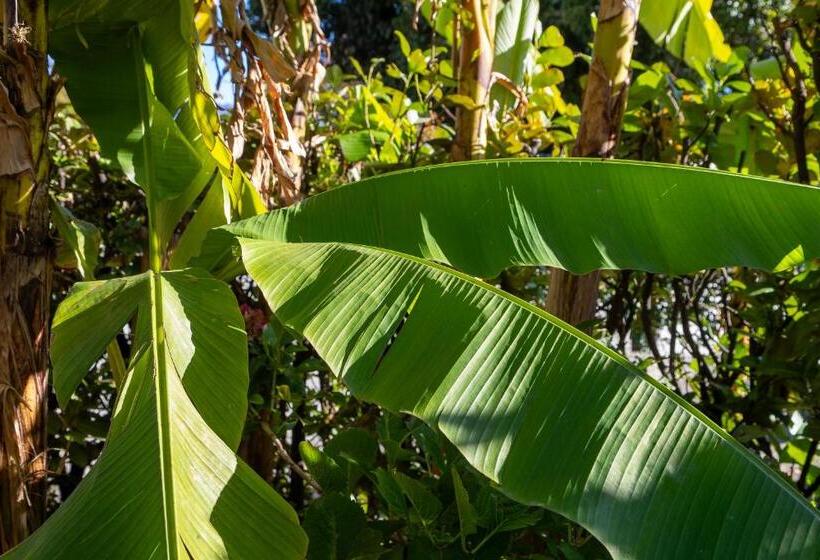 ホテル Garni Dei Fiori