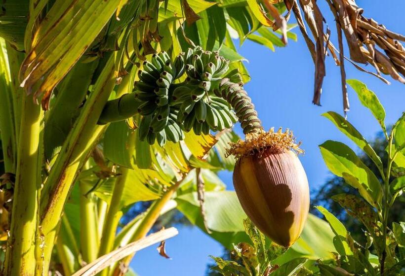 ホテル Garni Dei Fiori