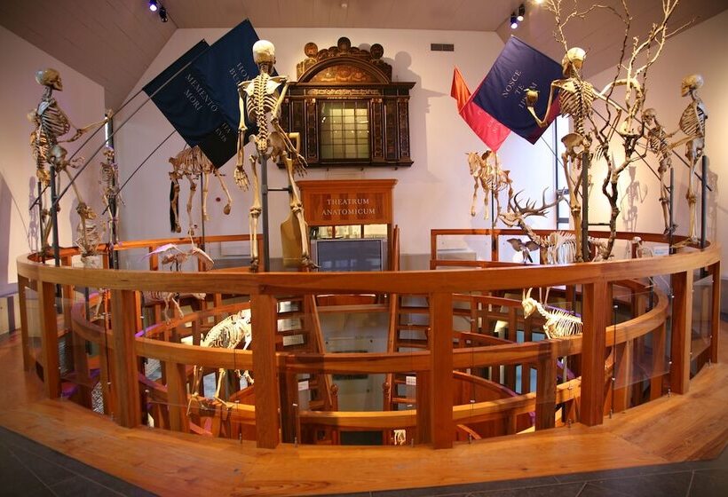 Отель Golden Tulip Leiden Centre