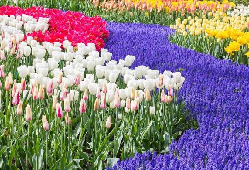 Отель Golden Tulip Leiden Centre