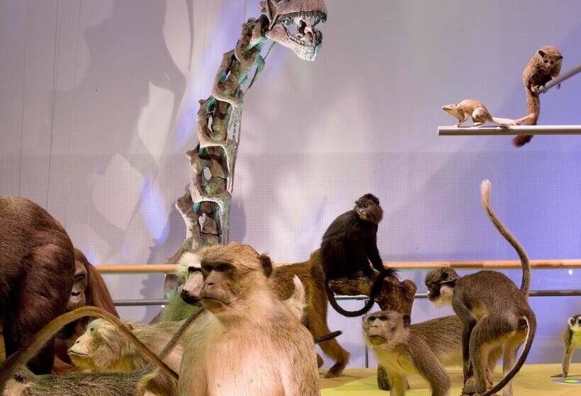 Отель Golden Tulip Leiden Centre