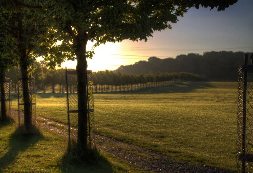 ホテル Hindsgavl Slot