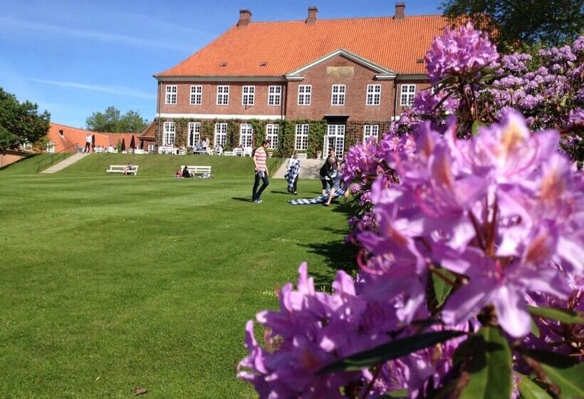 ホテル Hindsgavl Slot