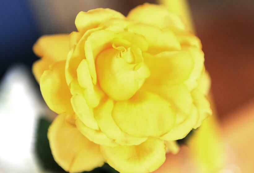 בית מלון כפרי Hocheck