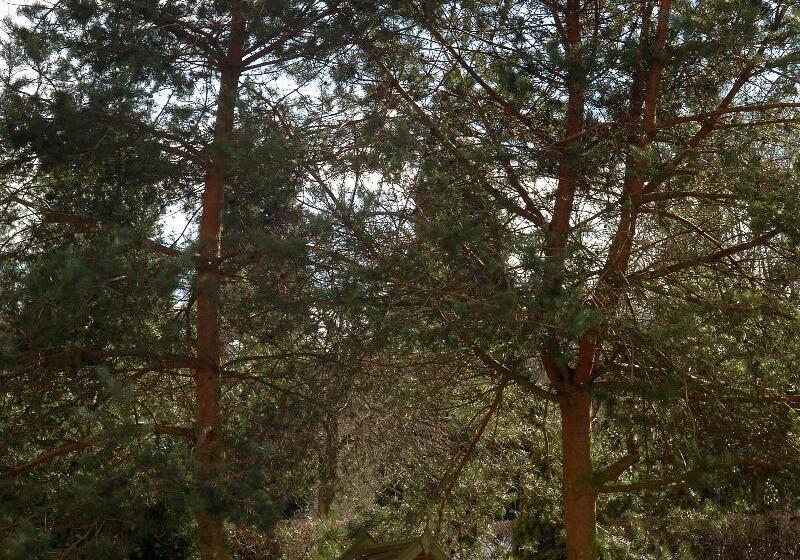 בית מלון כפרי Holiday Inn Telford Ironbridge, An Ihg