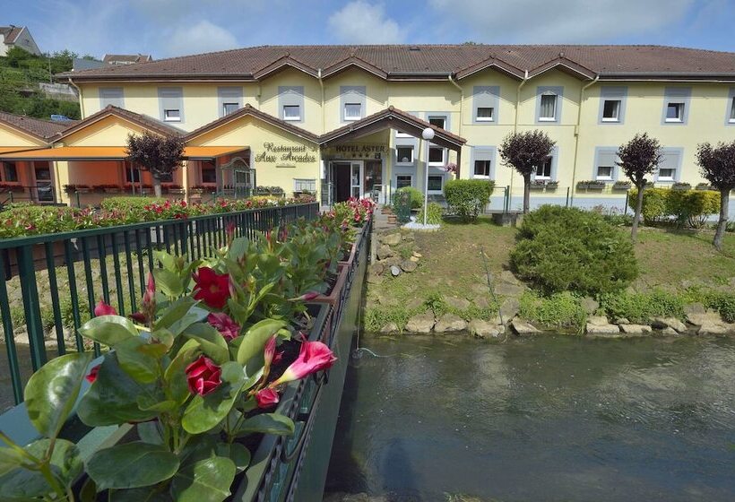 בית מלון כפרי Hôtel Aster Restaurant Aux Arcades