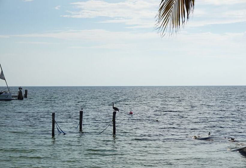 호텔 Imperial Las Perlas