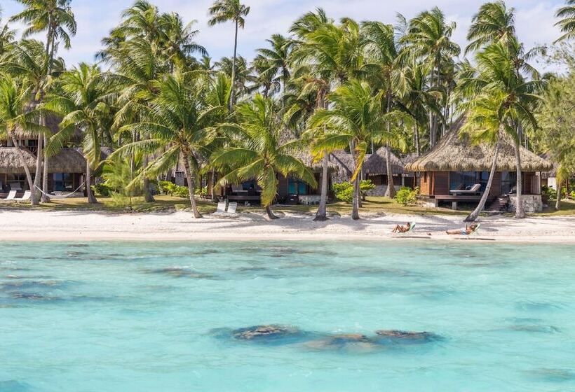 酒店 Kia Ora Resort & Spa