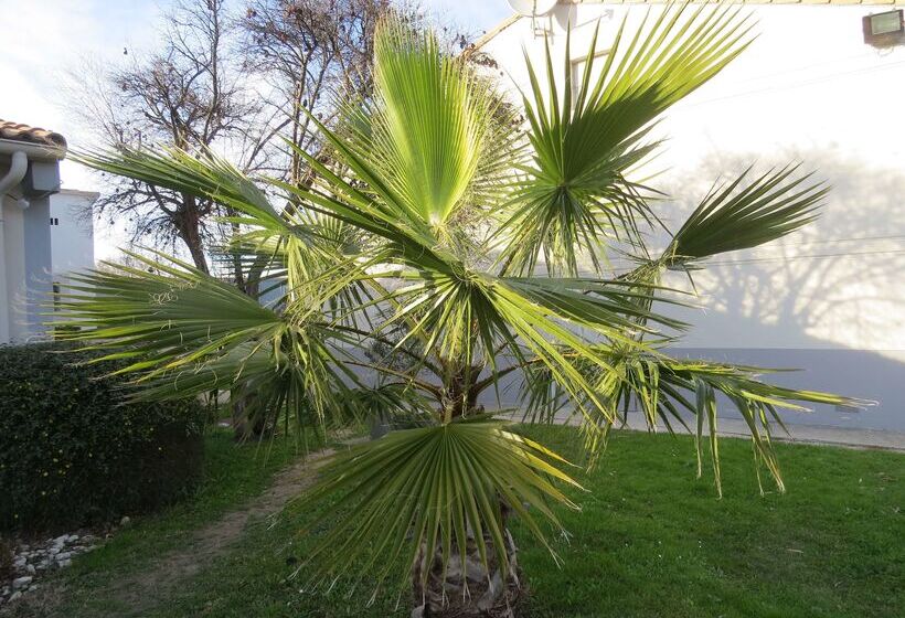 酒店 Hôtel Kyriad Cap Sud