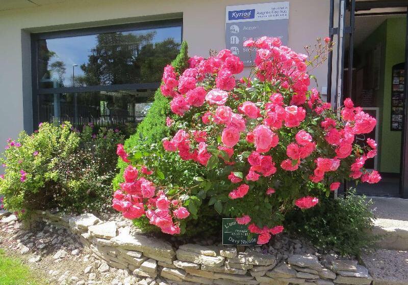 酒店 Hôtel Kyriad Cap Sud