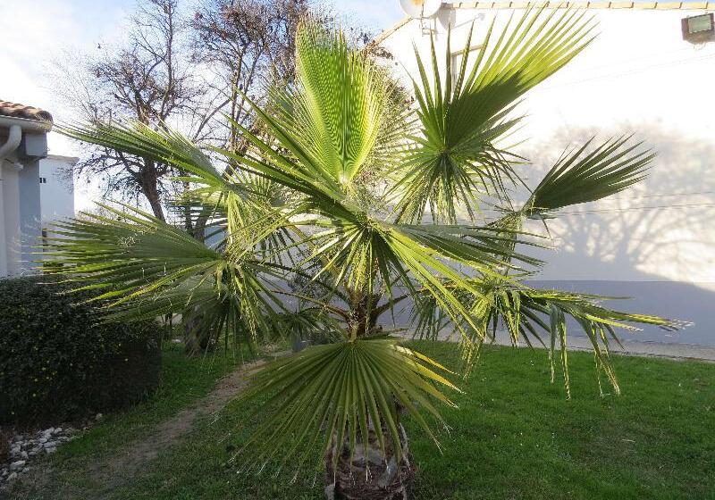 酒店 Hôtel Kyriad Cap Sud