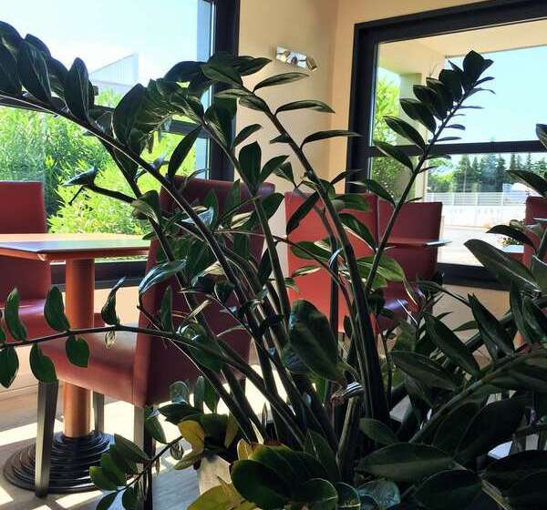 酒店 Hôtel Kyriad Cap Sud