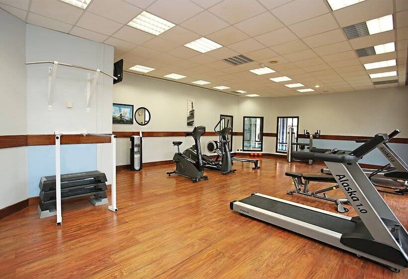 Millennium Hotel Paris Charles De Gaulle