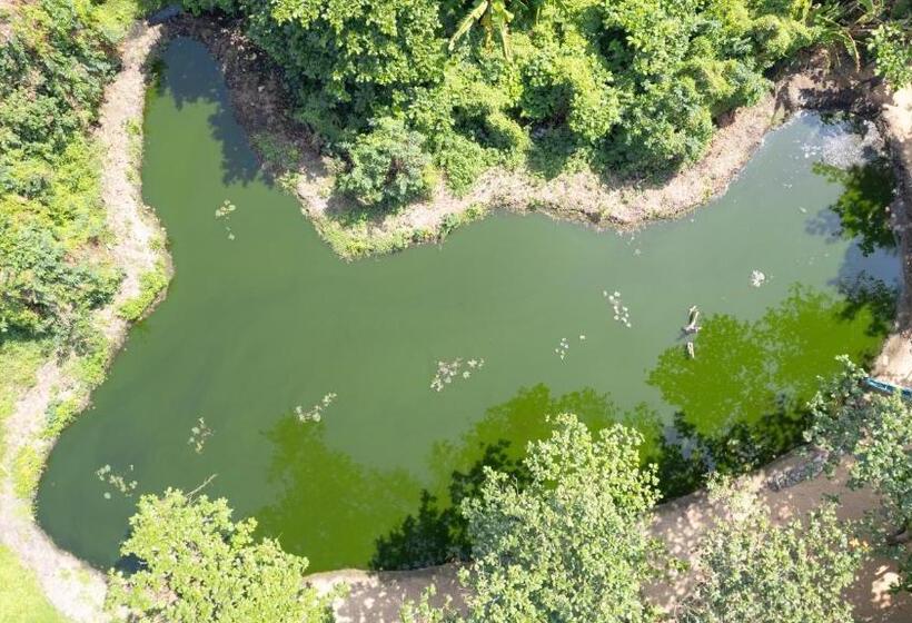 Hôtel Pegasus Reef   A Beach Resort In Colombo